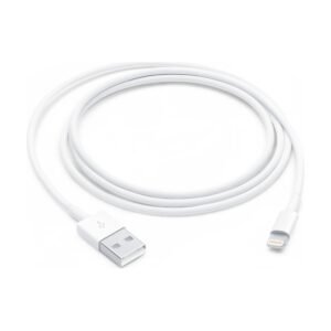 Cable original Apple